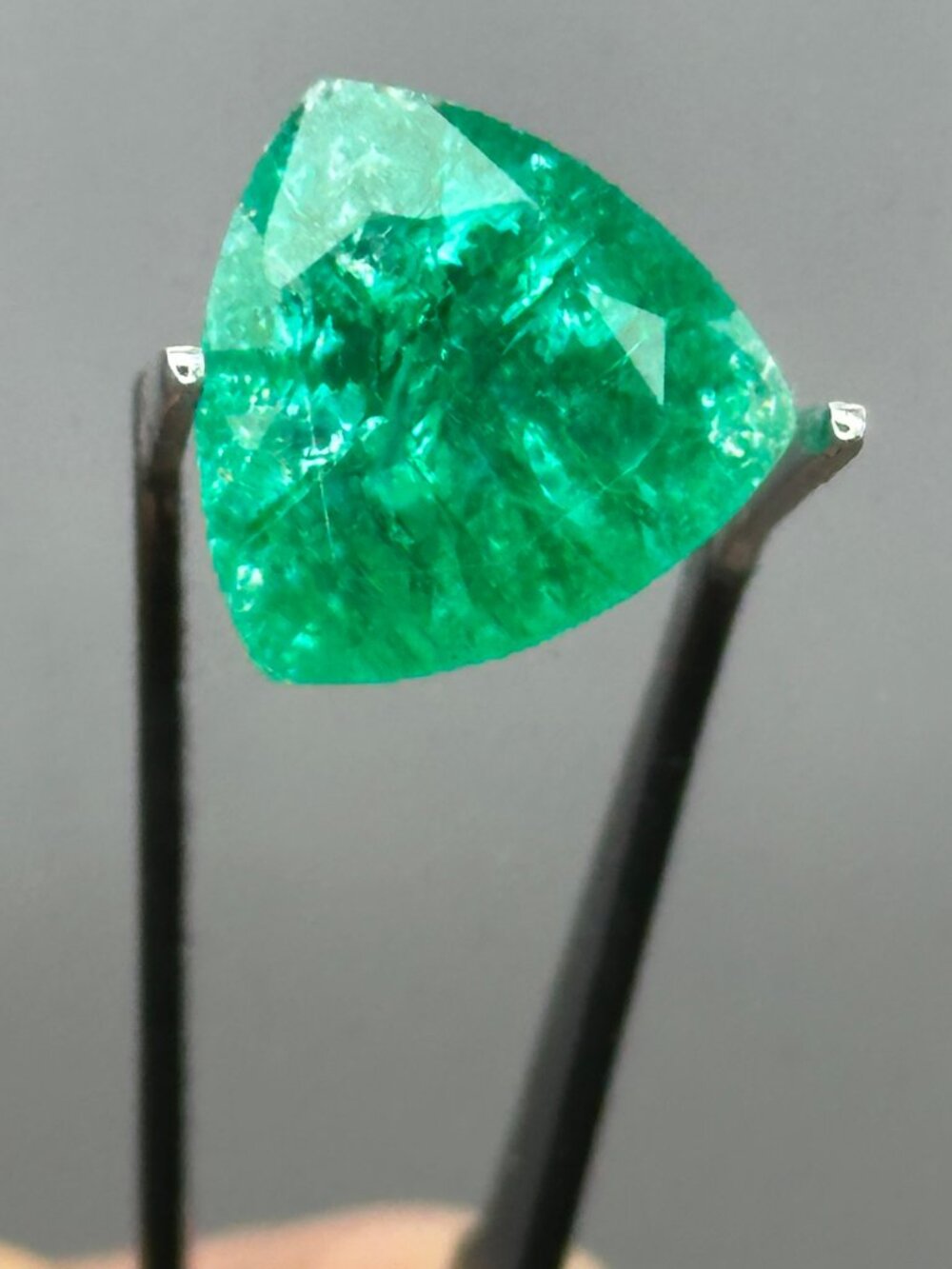 Natural Emerald w/Info Card *enhanced*